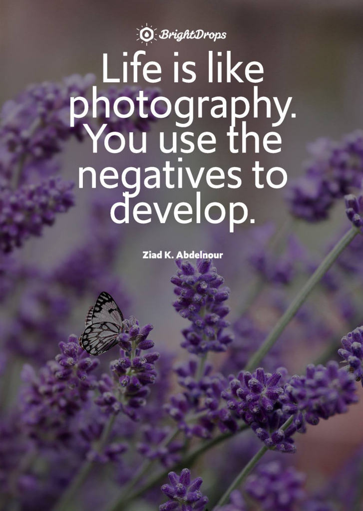 Inspirational quotes on Struggle is a new favorite genre.

Bright Drops

Life is like photography. 
You use the 
negatives to 
develop.

Ziad K. Abdelnour