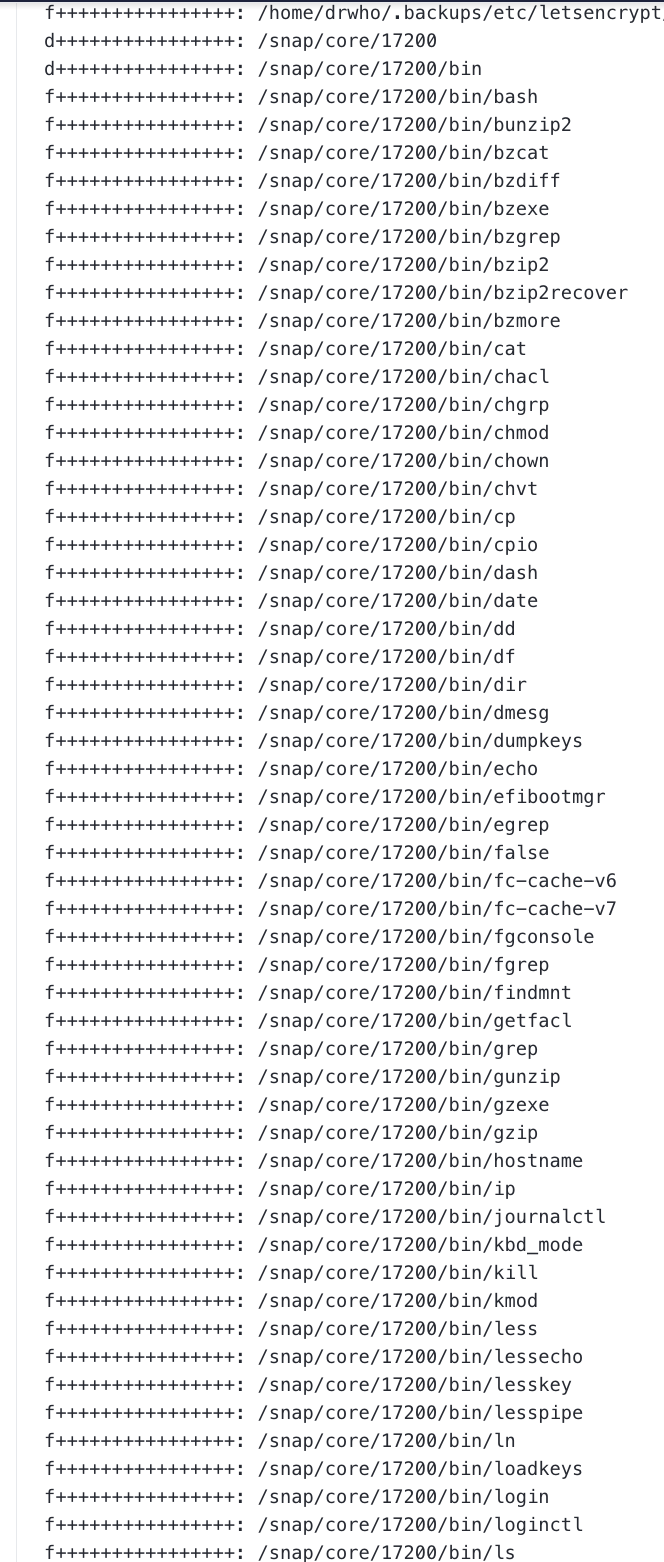 A small fraction of host-based IDS output from one of the Doctor's servers.  It references the contents of directory structure /snap/core/17200 and is a full copy of the basic systemware of an Ubuntu v20.04 LTS system.