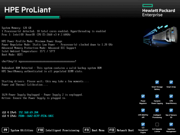 HPE ProLiant boot screen with a custom message, that says "she/they/it nyaaaaaaaaaaaaaaaaaaaa!"