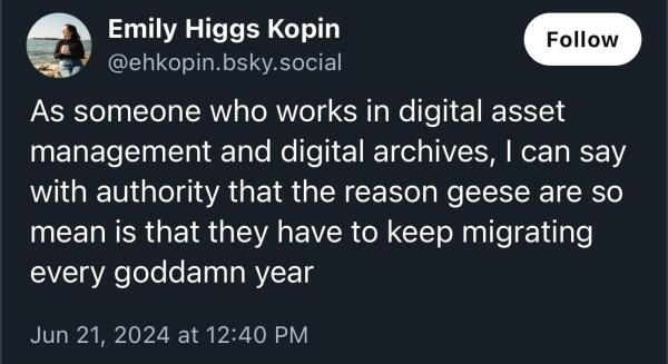A skeet saying "As someone who works in digital asset management and digital archives, I can say with authority that the reason geese are so mean is that they have to keep migrating every goddamn year"